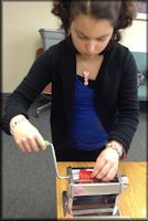 Hearts n Hands Work Enrichment